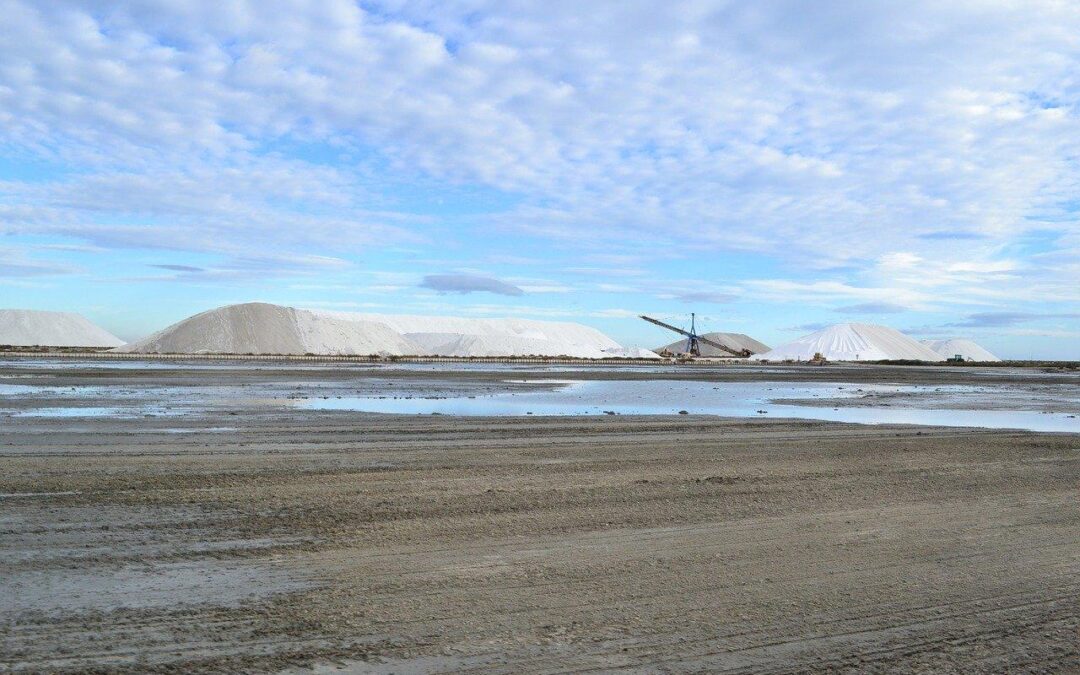 Comment visiter les Salins d&rsquo;Aigues-mortes ?