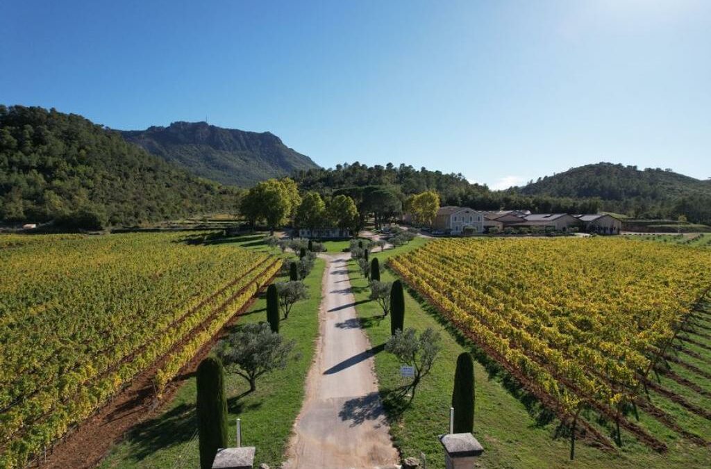 Notre top 3 des domaines viticoles en Provence